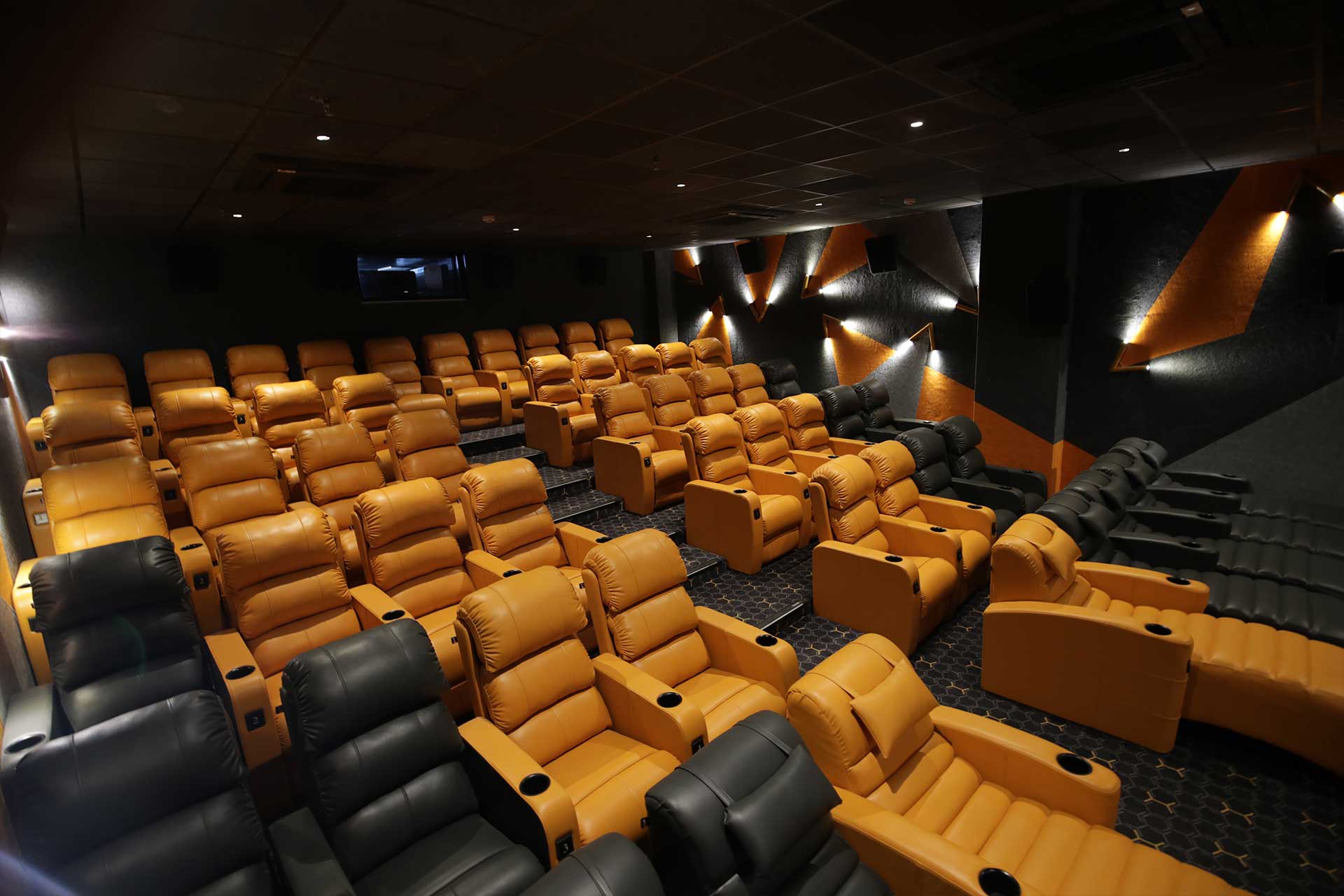 home-sanelite-cinemas